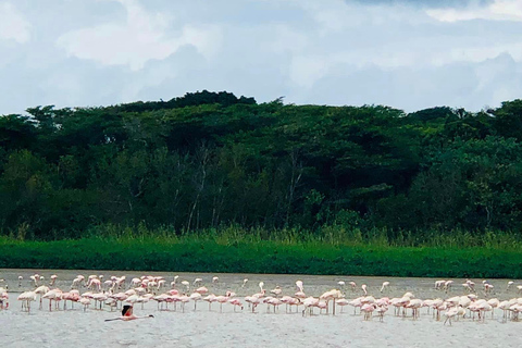Place of Wonder: Isimangaliso Wetland Park - Safari DrivesSunrise or Sunset Isimangaliso Wetland Park Safari Drives