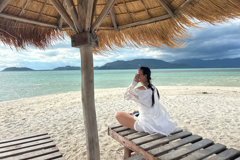 Koh Samui: Pig Island Tour by Speedboat with Snorkeling Private Tour or Cruise Ship Option