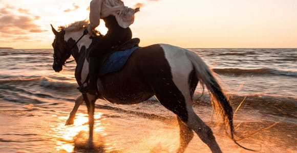 Antalya/Belek: Horseback Riding Through Sandy Forest & Beach