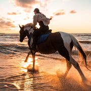 Antalya/Belek: Ausritt zu Pferd durch den Sandwald und am Strand