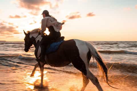 Antalya/Belek : Balade à cheval à travers la forêt et la plage
