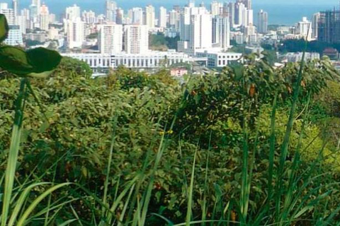The Two Sides of Panama: Nature + City (Private Tour)