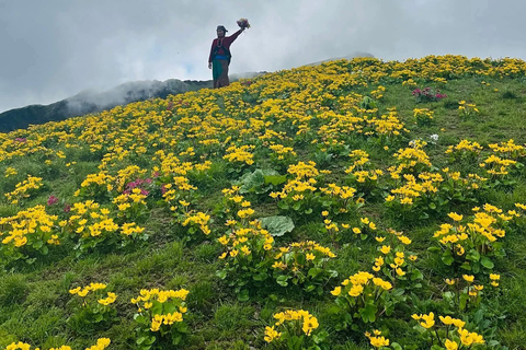 From Pokhara: 4-Day Dhorpatan & Bukipatan Trekking Tour
