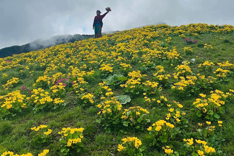 From Pokhara: 4-Day Dhorpatan & Bukipatan Trekking Tour