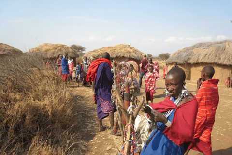 From Moshi: Maasai Village Tour with Lunch & Walking Safari