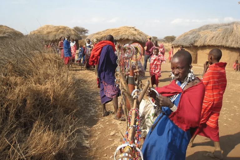 From Moshi: Maasai Village Tour with Lunch & Walking Safari