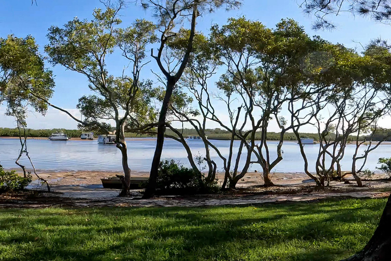 Caloundra: Golden Beach & Headland Memorial E-Bike Tour