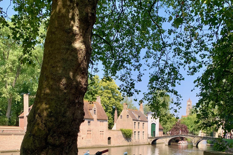 Tours de ville à vélo