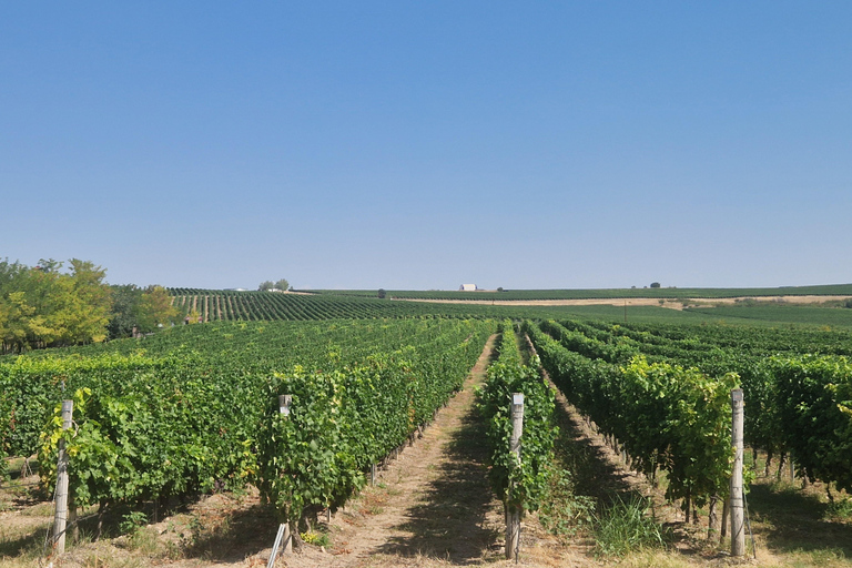 From Plovdiv: Wine Escape to the Rhodope Foothills