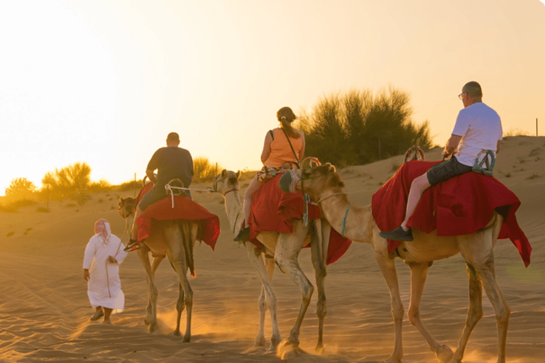 Sharm El-Sheikh: City Tour, Camel Ride, and Sandboarding