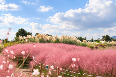 Jeju: Southwest & West Coast Highlights Full Day Bus Tour