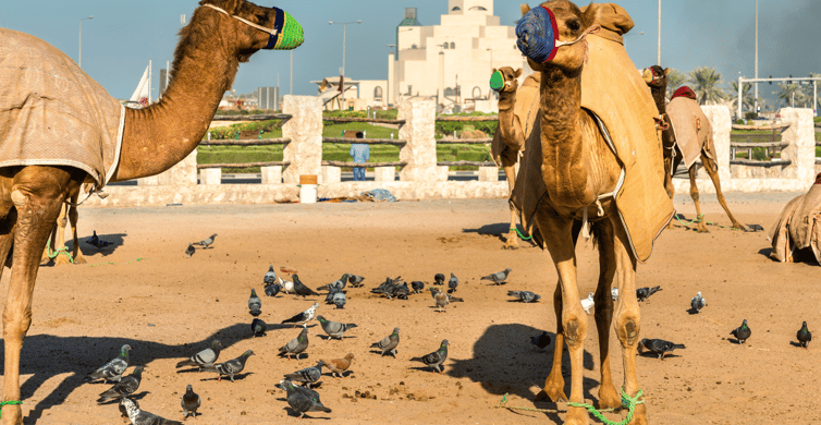 Doha: Guided City Highlights Tour with Round-trip Transfers photo 10