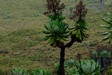 Aberdare National Park: Mount Satima Overnight Hike