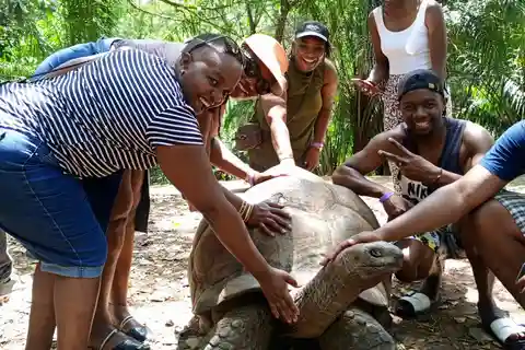 MOMBASA: FortJesus,OldTown,NatureWalk near Giraffes DayTour.