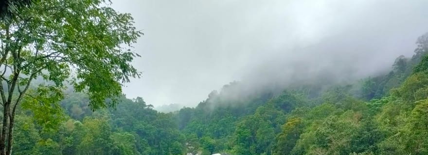 Chiang Mai : Visite du village de Mae Kampong, des sources d'eau chaude et de Bor Sang