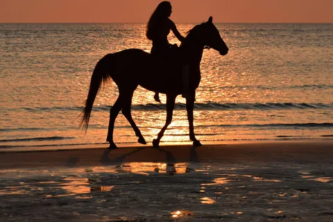 Punta Cana Equitazione e tramonto + spiaggia + prelievo gratuito