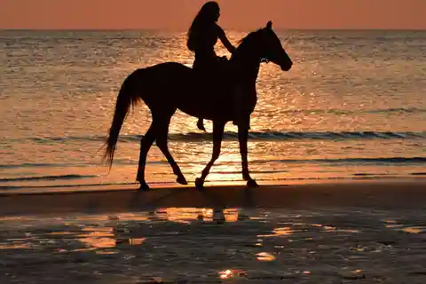 Punta Cana Ridning og solnedgang + strand + gratis henting