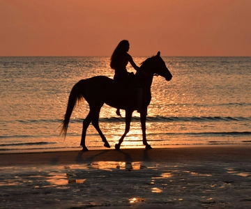 Punta Cana Ridning og solnedgang + strand + gratis henting