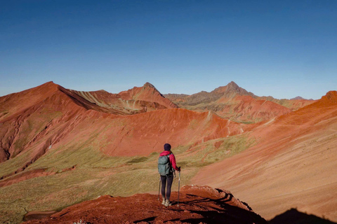 Cusco: Dzień z przewodnikiem po Rainbow Mountain i Red Valley z posiłkami