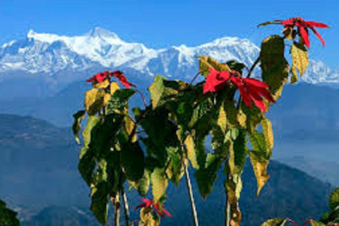 Pokhara: Excursión en grupo de un día completo con salida del sol