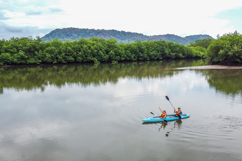 Tour de Kayaks en los manglares de David, Chiriquí