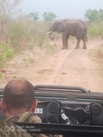 Hwange Day Trip - Housity
