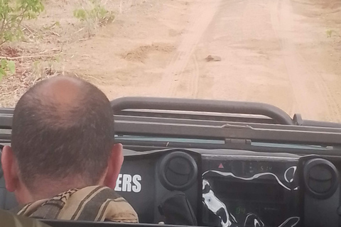 Mosi Oa Tunya Game drive