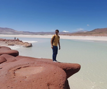 Tour Piedras Rojas + Altiplanic Lagoons + Chaxa Lagoon