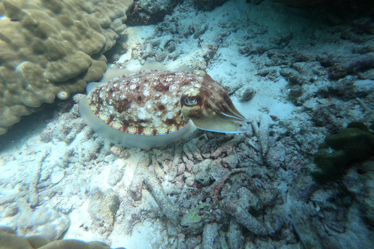 Ko Lanta : Grotte d'émeraude et tour en bateau à longue queue des 4 îles