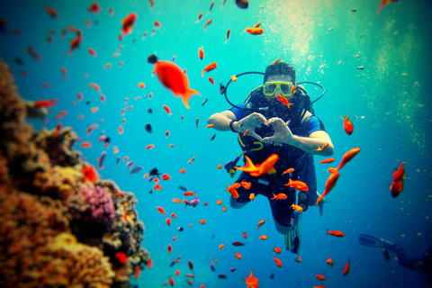 Scuba diving in Faliraki & Kolymbia Beginners & small Groups
