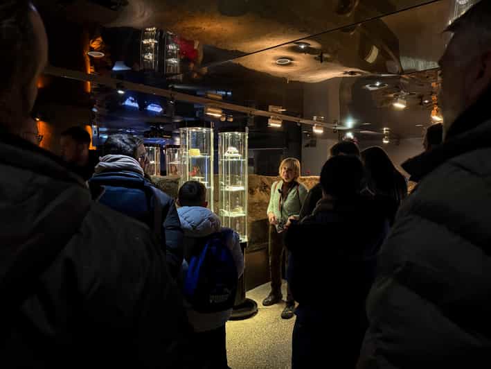 Krakow: Rynek Underground Museum Guided Tour