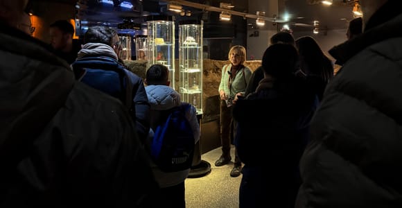 Krakow: Rynek Underground Museum Guided Tour