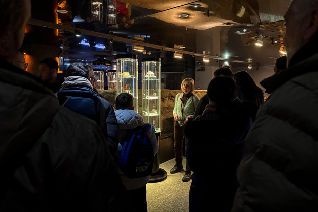 Cracovie : visite guidée du musée souterrain Rynek