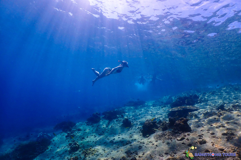 Koh Tao: Excursão de um dia com mergulho com snorkel nas ilhas e almoçoKoh Tao: Ilhas Snorkeling Destaques Day Tour &amp; Almoço