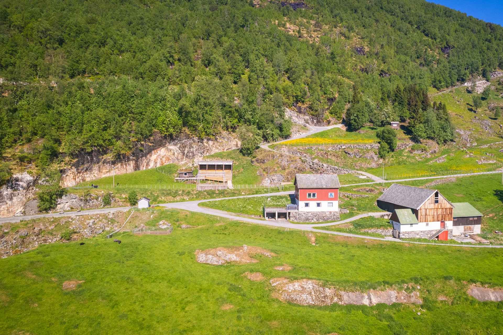 Ljøen, Hellesylt:探索Ljøen农场之旅 | Guide to Europe