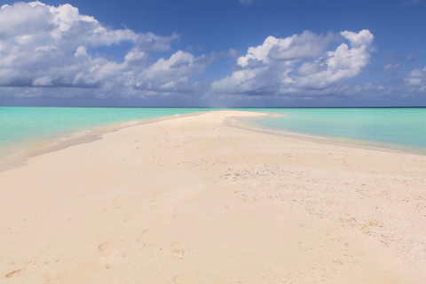 Zanzibar: Blue Lagoon Snorkeling & Sandbank Tour with BBQ Blue Lagoon Snorkeling & Sandbank Tour without Transfer