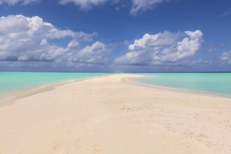 Zanzibar: Blue Lagoon Snorkeling & Sandbank Tour with BBQ Blue Lagoon Snorkeling & Sandbank Tour without Transfer