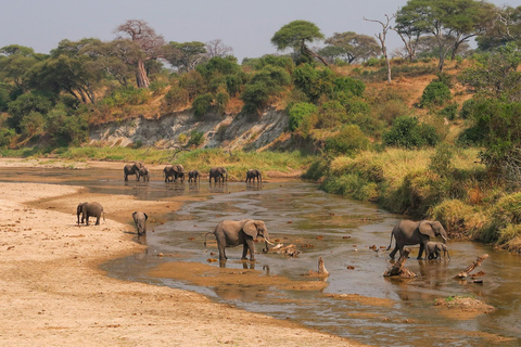 4-Day Safari to Arusha NP, Ngorongoro, Tarangire &amp; Makuyuni