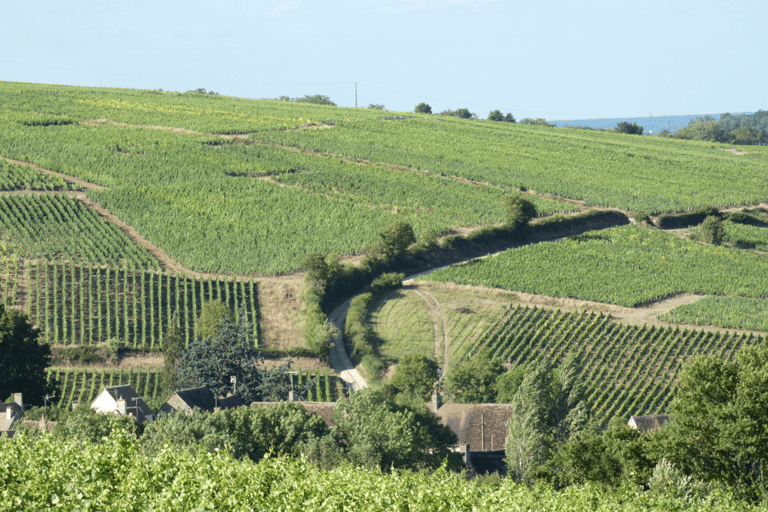 Au départ de Paris : Excursion à SANCERRE avec 10 dégustations et déjeuner