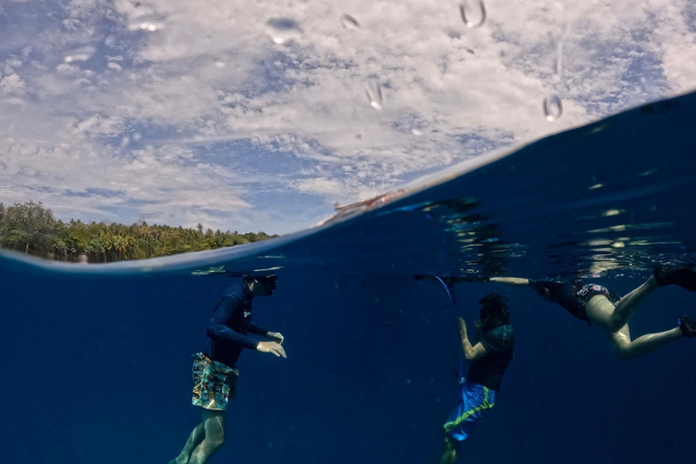 Railay: AIDA 1 or 2 Days Discover Freediving Courses AIDA: 2 Days Discover Freediving Course (Pool & Open water)