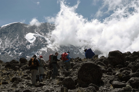 1-Day Shira Plateau-Kilimanjaro Hiking