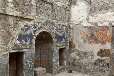 From Naples: Explore the Herculaneum Ruins and Vesuvius HERCULANEUM AND VESUVIUS: TOUR FROM NAPLES BY BUS