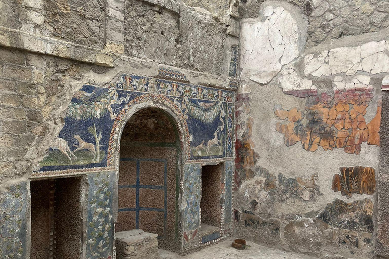 From Naples: Explore the Herculaneum Ruins and Vesuvius HERCULANEUM AND VESUVIUS: TOUR FROM NAPLES BY BUS