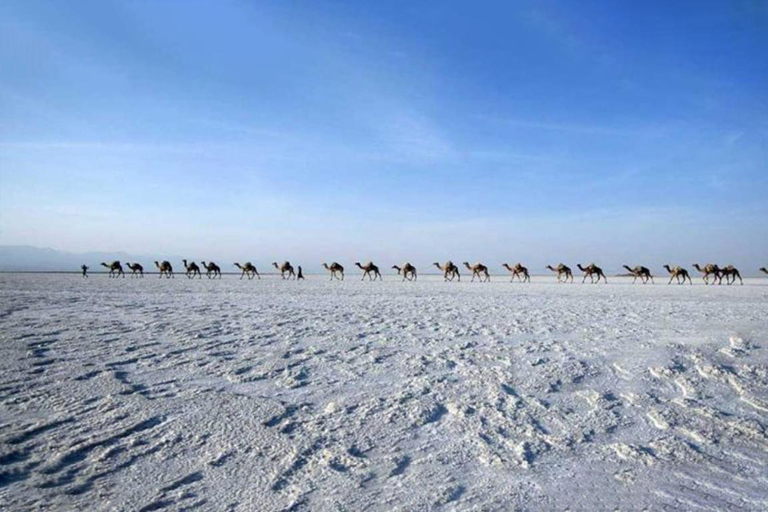 2 Nächte 3 Tage Danakil Depression Tour ohne Flüge