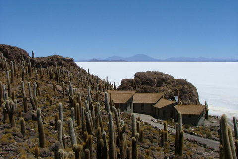 Privétour naar de zoutvlakten van Uyuni