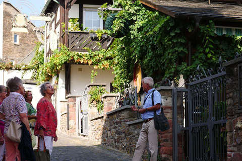 Rüdesheim am Rhein: city tour