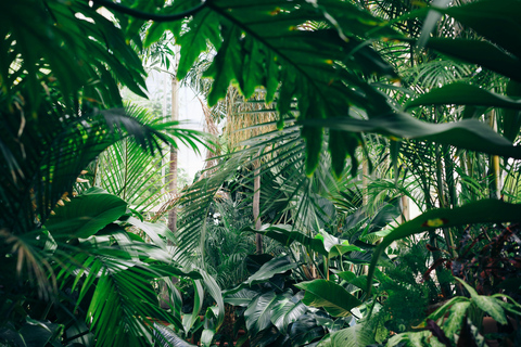 Medellín: Jungle Trekking, Waterfall Swim, & Coffee Tour