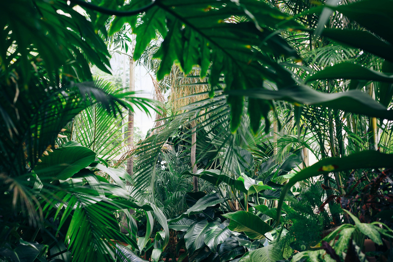 Medellín: Jungle Trekking, Waterfall Swim, & Coffee Tour