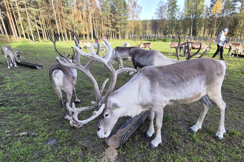 Rovaniemi: Ranua Zoo Tickets & Transportation. 4 people Rovaniemi: Ranua Zoo Tickets and Transportation. PETS