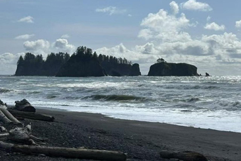 Small Group: Olympic Park & Forks Day Trip From Seattle